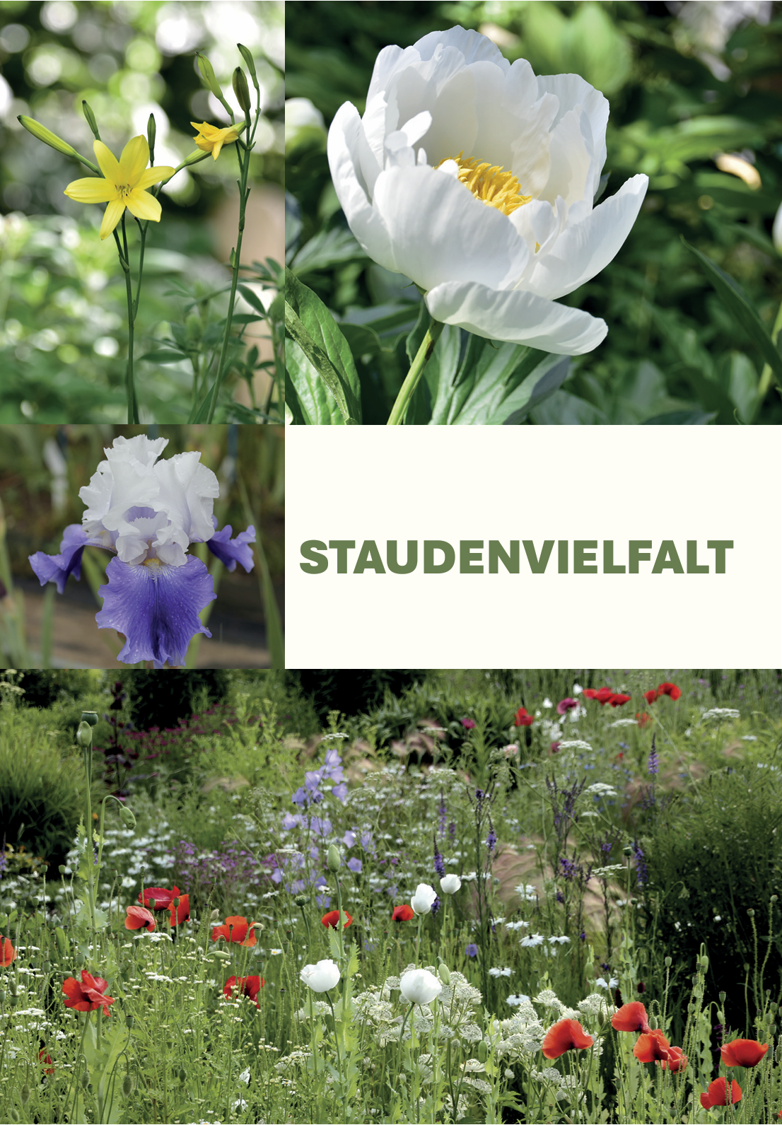 Staudenvielfalt